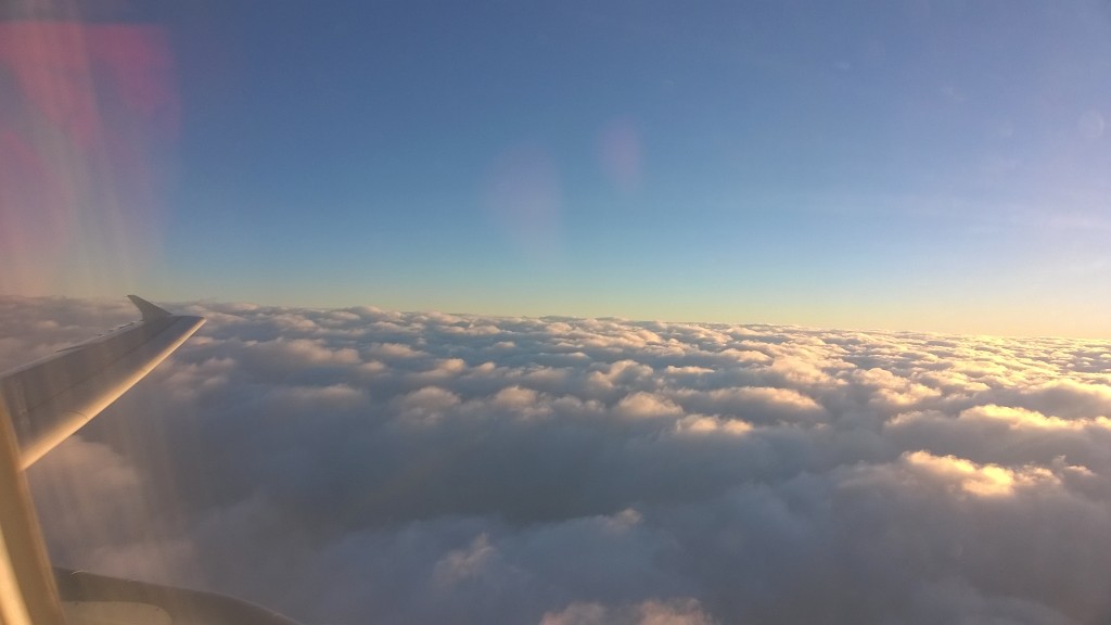 WP_20181118_015