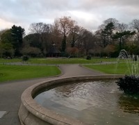 WP_20181119_033